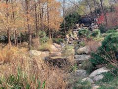 -大连植物园