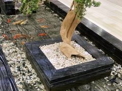 -天沐温泉(抚顺店)