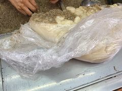 -叶氏麻糍(鼓浪屿店)