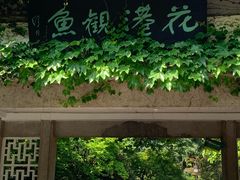 -西湖外事游船(花港观鱼码头)