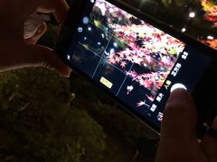 -醍醐寺
