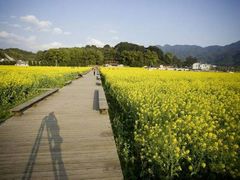 android_upload_pic-古田会议纪念馆