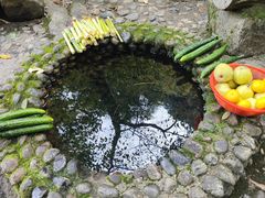 -燕子河大峡谷天坑仙境