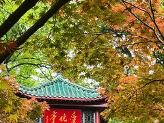 -岳麓山风景名胜区