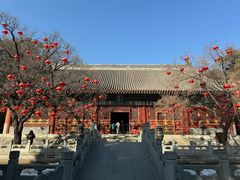 -香山公园