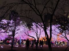 -西北湖绿化广场