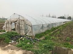-小鱼草莓采摘园农家乐·小鱼餐厅