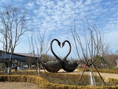 -东平国家森林公园