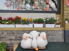 -三忘湖 SWANSEEN(柳荫公园店)