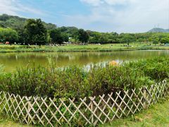 -牛岗山公园