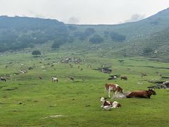 -克什克腾世界地质公园青山景区