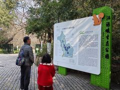 -西湖风景区-江洋畈生态公园