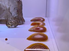 -奥古斯丁博物馆