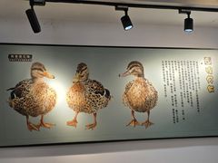 -姐妹鸭仔饭店(湾南路店)