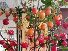 -点都德(广州白云山景区南门店)