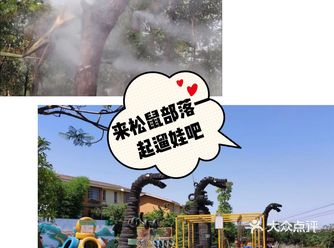 这个夏天，和孩子一起来探索森林的奥妙。