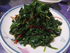 枸杞苗-三益轩(总店)