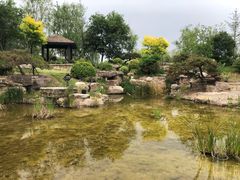 -武清南湖绿博园