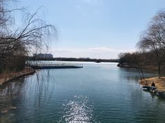 -大兴滨河森林公园