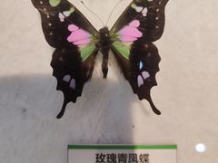 -天津市动物园