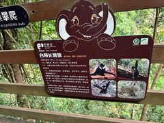 -野象谷景区