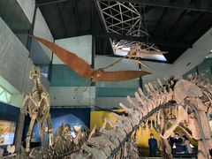 -湖南省地质博物馆