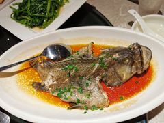 清蒸石斑鱼-达叔香味海鲜(海棠68环球美食街店)