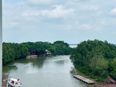 -东寨港红树林旅游区