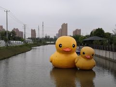-菊园百果园