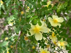 -党河风情线国家水利风景区