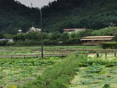 -红山村