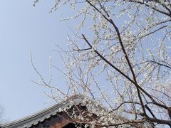 -三里河公园