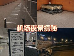 -青岛胶东国际机场