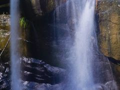 -广州白江湖森林公园