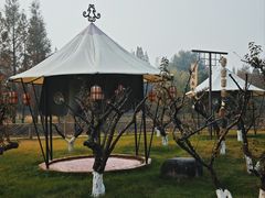 -长田漾湿地公园