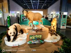 -陕西自然博物馆