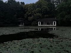 -杭州植物园