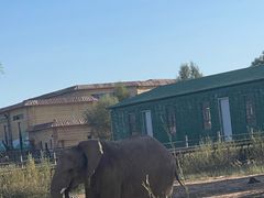 -鄂尔多斯野生动物园