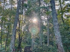 -江西龙虎山景区
