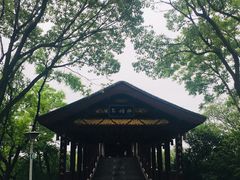 -长广溪湿地公园