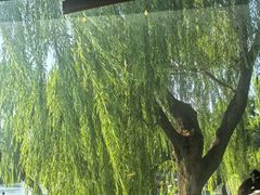 -东岸Cafe 爵士俱乐部