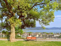 -东钱湖旅游度假区