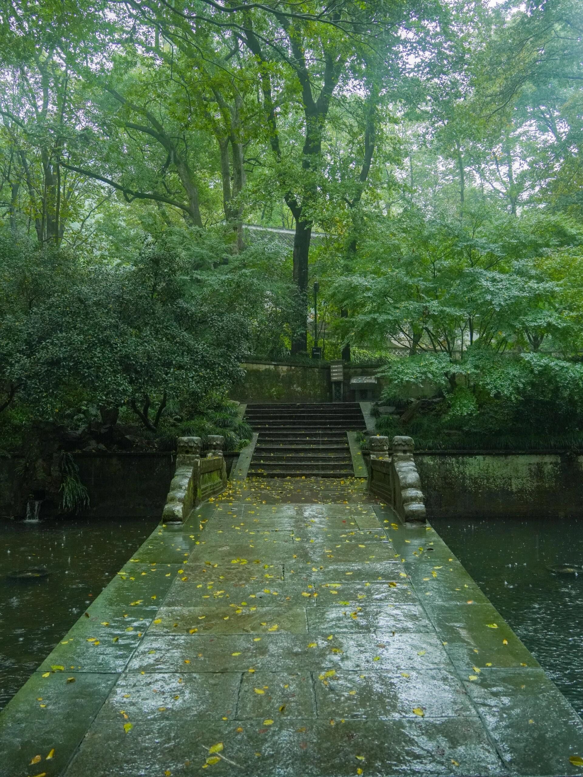 只适合下雨天
比如虎跑公园
阴雨天的虎跑,披上了一层薄薄的轻纱