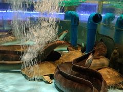 -阿伟海鲜楼·福建菜(延寿店)