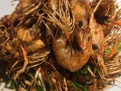 老头儿油爆沼虾-老头儿油爆虾(星光一期店)