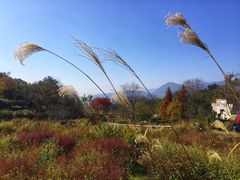 -塔川景区