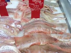 -滴血救世主教堂