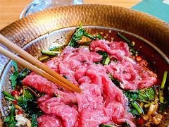 木姜子野佐料油浸吊龙-山茶云南菜(永安里店)