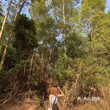 五一劳动节放假