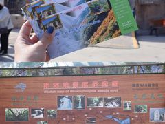 -双龙峡